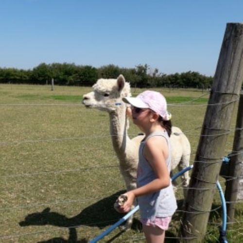 BC visits Appletree Farm in lockdown 2